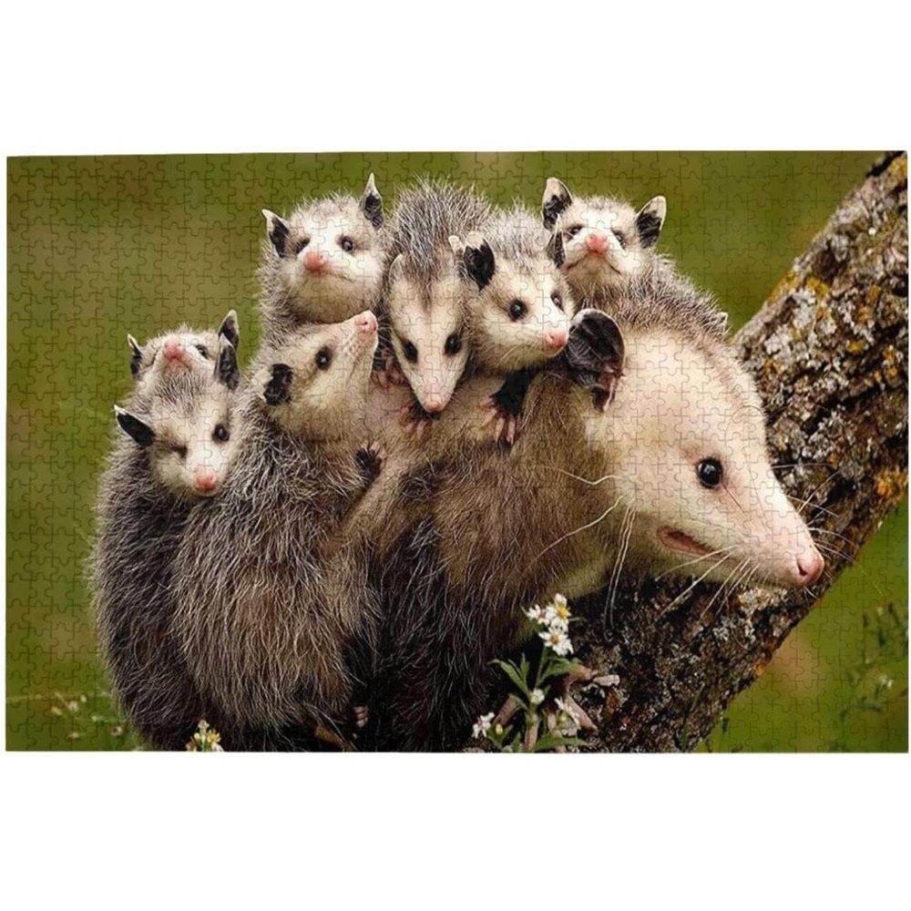 Opossum Family Animal Puzzle- Wooden Puzzles 1000 pieces